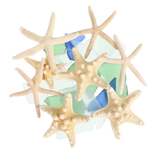 ABOOFAN 1Satz Seeglas und Seesternen Dekoration für Vasen Aquarien und Bastelprojekte Meeresglas und Handgefertigte Seesterne für Kreative ABOOFAN 1Satz Seeglas und Seesternen Dekoration für Vasen Aquarien und Bastelprojekte Meeresglas und Handgefertigte Seesterne für Kreative von ABOOFAN