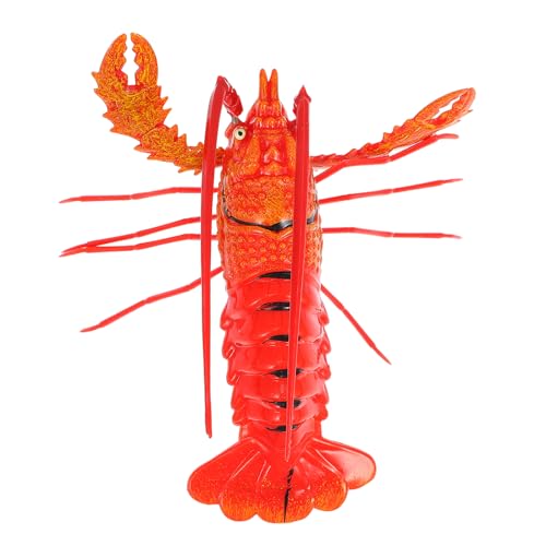 ABOOFAN Roter Hummer Kühlschrankmagnet, Weiße Tafel für Kühlschrank magnetisch Schrank Aufkleber kühlschrank Magnete kühlschrankmagneten Küchenzubehör Magnetkraft rot ABOOFAN Roter Hummer Kühlschrankmagnet, Weiße Tafel für Kühlschrank magnetisch Schrank Aufkleber kühlschrank Magnete kühlschrankmagneten Küchenzubehör Magnetkraft rot von ABOOFAN