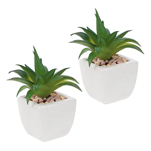 ABOOFAN 2 Stück Simulation Sukkulenten Topfpflanze Künstliche Pflanzendekore Künstliche Topfpflanze Heimdekoration Realistische Sukkulenten Bonsai Simulierte Sukkulenten Desktop von ABOOFAN