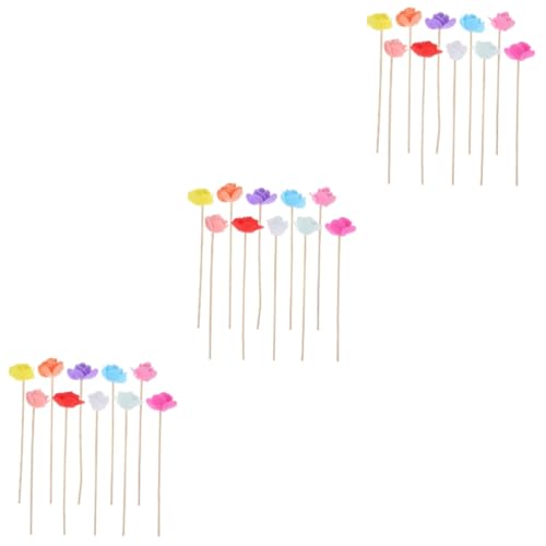 ABOOFAN 3 Sätze Aroma Diffuser Stäbchen Aus Getrockneten Blumen Ersatzsticks Für Ätherische Öle Für Diffusoren Büro Schlafzimmer Und Zuhause 10 Stück * 3 von ABOOFAN