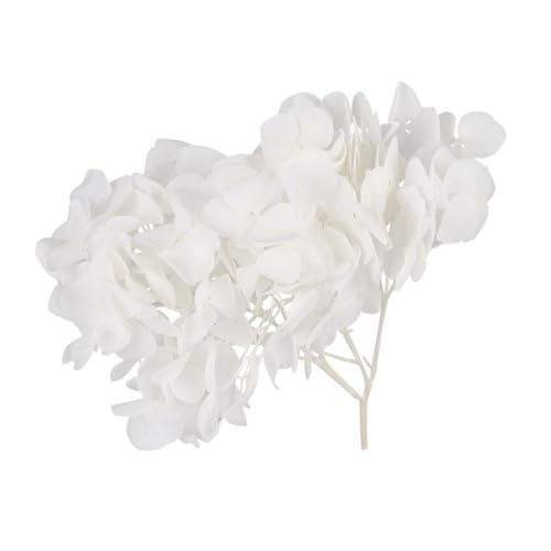ABOOFAN Elegante Getrocknete Hortensienblätter 20 G Weiß Blumenzubehör für Heimdekoration Nagelkunstprojekte von ABOOFAN