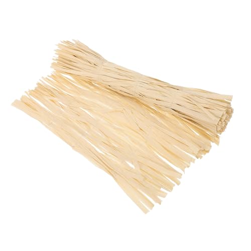 ABOOFAN Placemat Im Meer Im Meer Partydekorationen Aha Strand Insel Becher Untersetzer Hawaii-raumdekor Hawaiianischer Partyballon Hawaii-achterbahn Luau-tischdekoration Morgen Beige von ABOOFAN