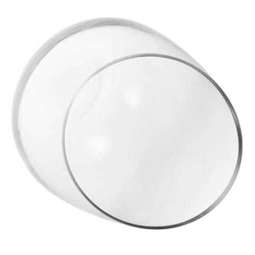 ABOOFAN Schräge Glasvase Für Hydroponik Klare Blumenhalter Aus Glas Transparenter Blumenzweigbehälter Kleine Heimvase Für Schreibtisch Kreative Glasvase Für Pflanzen von ABOOFAN