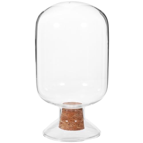 ABOOFAN Streichholzhalter aus Glas 250 Ml Streichholz-Cloche-Glas Streichholz-Schlagglas Ausgefallene Badezimmer-Streichhölzer Cloche-Flasche für Kerzen Dekorative Streichhölzer für Den von ABOOFAN