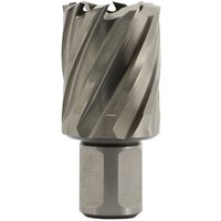 Abratools - Euroboor HCS.210 hss Kernbohrer - Bohrtiefe: 30 mm - Außendurchmesser: 21 mm - Anschluss: Weldon - Größe: 19,05 mm - Pilot Pin Hole 6,35 von ABRATOOLS