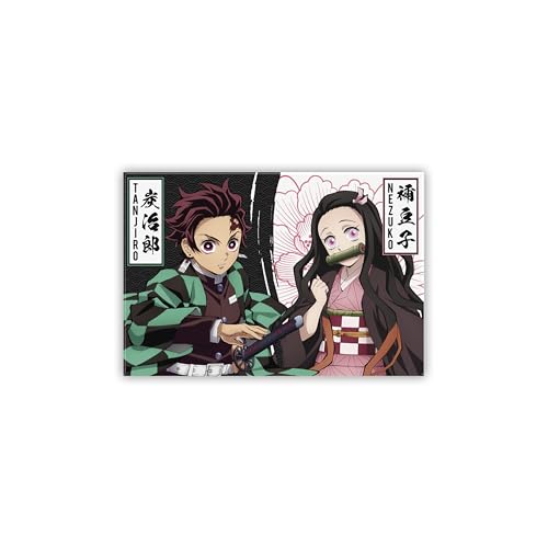 ABYstyle - Demon Slayer Magnet Standard Tanjiro & Nezuko S2 von ABYSTYLE
