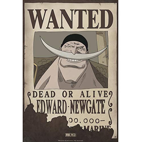 ABYstyle Abysse Corp_ABYDCO370 Wanted Edward Newgate (132 x 89 cm) von ABYSTYLE