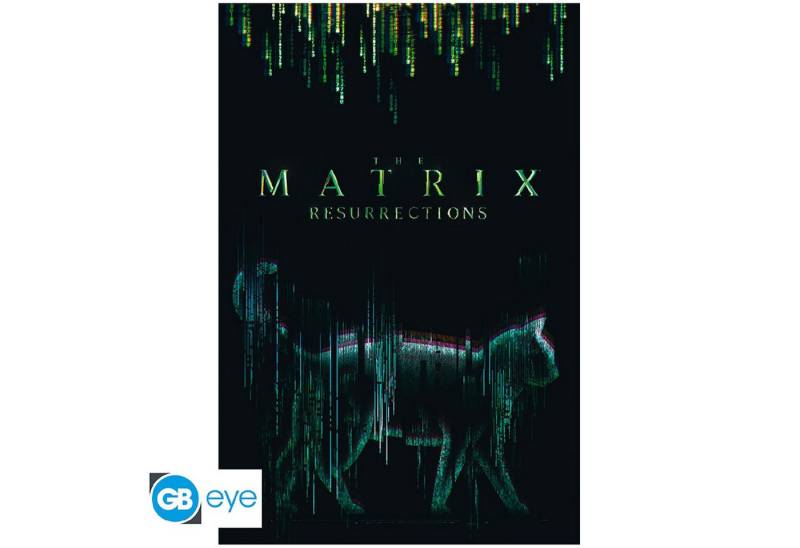 ABYstyle Poster THE MATRIX - Poster Maxi 91cmx51cm - Cat von ABYstyle