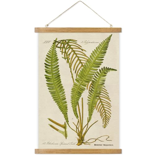 ABoby Vintage Illustrative Referenz Pflanze Hängendes Poster Retro Stil Botanischer Wandkunst Druck auf Leinen mit Holzrahmen Fertig zum Aufhängen von ABoby
