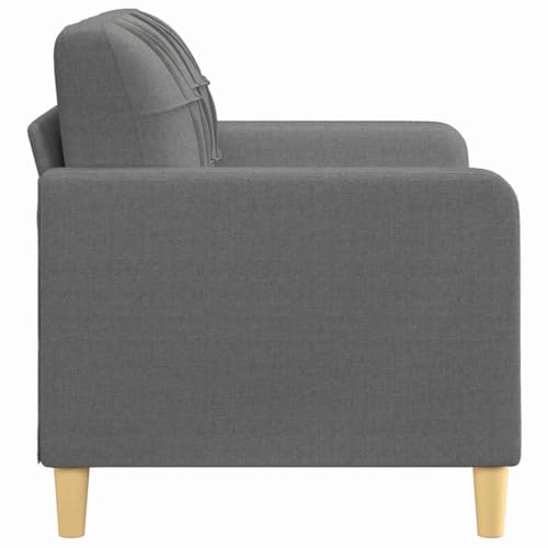ACAGALA Sofa 2 Sitzer, Bequeme 2er-Sofa, Kleine Stoffcouch mit Armlehne, Mini Sofa Holzbeine + Metallrahmen, Modernes Couch Klein für Wohnzimmer Schlafzimmer Heimkino| 120 cm | Dunkelgrau von ACAGALA