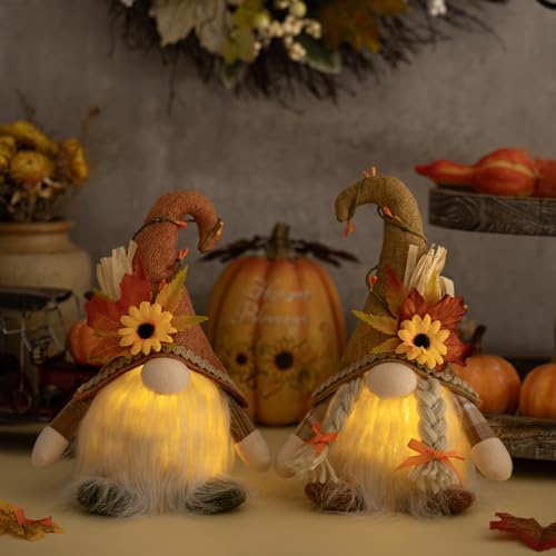 2 Stück Herbstdeko Wichtel mit LED Licht, Herbst Deko Beleuchtet Wichtel mit Ahornblatt Sonnenblumen Deko, Herbst Dekoration Wichtel Figuren Plüsch Für Erntedankfest Weihnachten Party Deko (Mit LED) 2 Stück Herbstdeko Wichtel mit LED Licht, Herbst Deko Beleuchtet Wichtel mit Ahornblatt Sonnenblumen Deko, Herbst Dekoration Wichtel Figuren Plüsch Für Erntedankfest Weihnachten Party Deko (Mit LED) von ACAREY