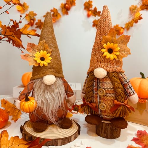 ACAREY Herbstdeko Wichtel, 2 Stück Herbst Deko Wichtel mit Ahornblatt Kürbis Deko, Herbst Dekoration Herbstdeko Zum Aufhängen Wichtel Figuren Plüsch für Erntedankfest Weihnachten Baum deko ACAREY Herbstdeko Wichtel, 2 Stück Herbst Deko Wichtel mit Ahornblatt Kürbis Deko, Herbst Dekoration Herbstdeko Zum Aufhängen Wichtel Figuren Plüsch für Erntedankfest Weihnachten Baum deko von ACAREY