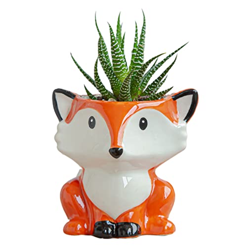 Kleine Pflanztöpfe Indoor - Keramik Blumentöpfe - Sukkulenten Pflanztopf Blumentopf - 6 Typ, Ø 7,25 x H 7,5 cm (Fuchs) von ACAREY