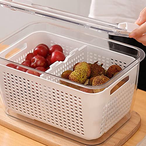 Kühlschrank-Aufbewahrungsbox für Obst, Gemüse, Käse, versiegelt, quadratisch, Gemüseschale, Küche, Haushalt, Aufbewahrungsbox für Lebensmittel, Frischhaltedose für den Kühlschrank (1,7 l, weiß) von ACAREY
