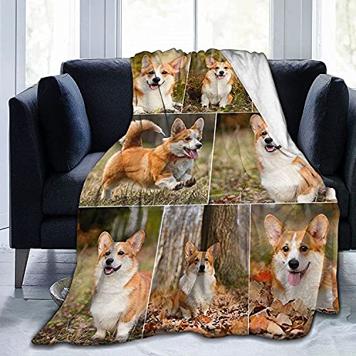 ACCZ Personalisierte Decke Fotodecke mit Eigenem Foto und Text,Personalisierte Geschenke Für Geburtstage, Jubiläen Geschenk Für Vater, Mutter, Kinder, Hunde, Freunde Oder Liebhaber ACCZ Personalisierte Decke Fotodecke mit Eigenem Foto und Text,Personalisierte Geschenke Für Geburtstage, Jubiläen Geschenk Für Vater, Mutter, Kinder, Hunde, Freunde Oder Liebhaber von ACCZ