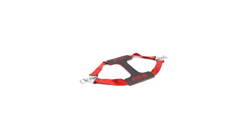 ACE Bikes Tyrefix Essential Transportsicherung von ACEBIKES