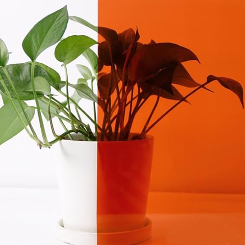 ACESOME Sichtschutzfolie Fenster, Fensterfolie Transluzent Folie Für Fenster Fensterfolie Buntglas, Sonnenschutzfolie Selbstklebend Spiegelfolie Wärmeschutzfolie UV Schutzfolie (Orange, 50 x 100 cm) von ACESOME ㅤ