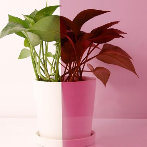 ACESOME Sichtschutzfolie Fenster, Fensterfolie Transluzent Folie Für Fenster Fensterfolie Buntglas, Sonnenschutzfolie Selbstklebend Spiegelfolie Wärmeschutzfolie UV Schutzfolie (Rosa, 30 x 100 cm) von ACESOME ㅤ