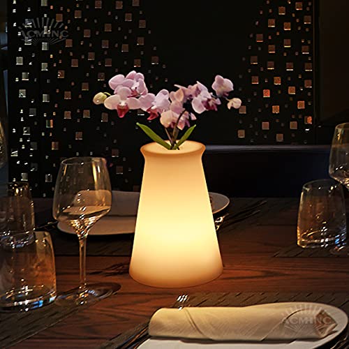 Kabellos LED Akku Tischlampe Dimmbare Mit Fernbedienung, Vase Design Modern Aufladbar Tischleuchte Für Restaurant Bar Esstisch Outdoor Nachtlicht,16 RGB Farbe & 4 Modi, Nachttischlampe,20cm von ACMHNC