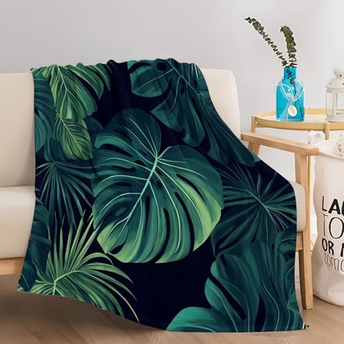 Grün Kuscheldecke Pflanzenblatt Monstera-Blatt Drucken Flauschige Decke 150x200 cm Fleecedecke Weich und Warme, Wohndecke Flanell als Sofadecke Couchdecke Tagesdecke von ACSMCQ