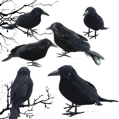 Halloween-Schwarze Krähe, ACTOYS 6 PCS Schwarze Krähen Requisiten, Schwarz Gefiederter Schaumstoff-Krähen, Gefälschte Raben Dekor, für Outdoor Indoor Party Halloween von ACTOYS