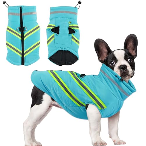 Hundemantel, ACTOYS Wasserdichter Hundemantel, Winter Warme Hundejacke, Hundemantel mit Geschirr, Reflektierend Winter Hundekleidung für Kleine und Mittlere Hunde von ACTOYS