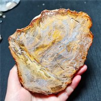 Natürlicher Fossiler Holzscheibenförmiger Bergkristall/Jaspis/Mineral/Bergkristall/Heilstein/Heilstein/Energie/Geschenk von ACagatecrystal