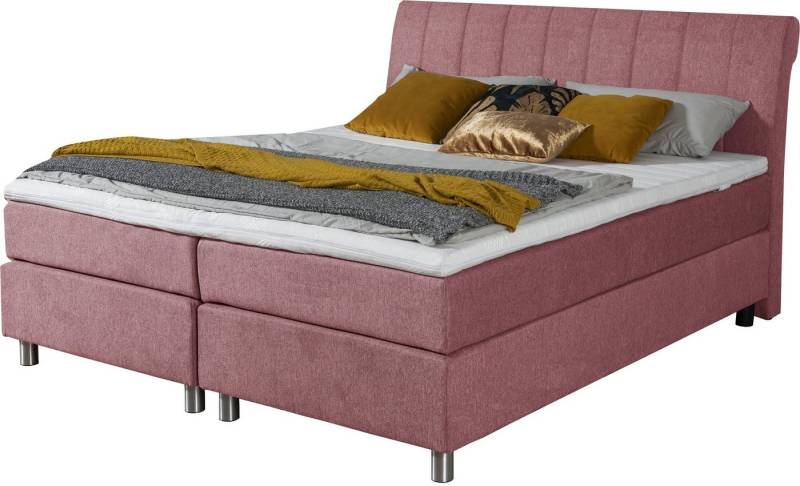 ADA trendline Boxspringbett Elsa fix, inklusive Matratze und Topper, in verschiedenen Größen und Härtegraden von ADA trendline