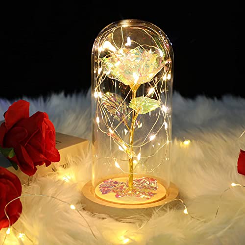 ADAZ Geschenke für Frauen,Ewige Rose im Glas mit LED-Licht,Geschenk für Sie Mutter Freundin Frau,Künstlich Rose Blumen in glaskuppel auf Muttertags Valentinstag Jubiläum Weihnachten von ADAZ