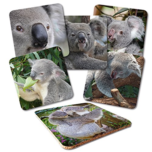 ADDIES Glas-Untersetzer 6-TLG.Set Bedruckt Motiv Koala Komplett-Set in hochwertiger Klarsicht-Geschenkbox und Korkrückseite von ADDIES