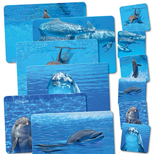 ADDIES Tischset und Glas-Untersetzer KOMBI-SET 12 teilig. DELFIN/DELPHIN . Laminierte Platzsets und Glas-Untersetzer mit Korkunterseite in schöner Klarsicht-Geschenkbox von ADDIES