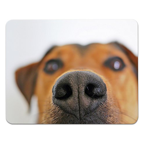Addies Mousepad "HUNDE CLOSE UP", schönes Mauspad mit Hunde Motiv in feiner Cellophan Geschenk-Verpackung mit Kautschuk Untermaterial, 240x190mm, Hundemotiv-8 von addies