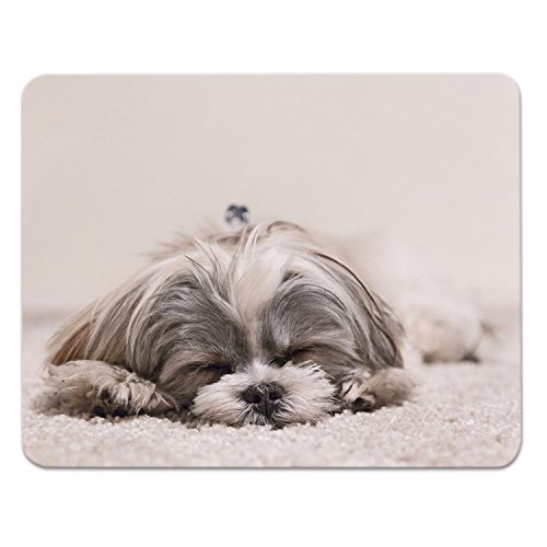 Addies Mousepad "HUNDE CLOSE UP", schönes Mauspad mit Hunde Motiv in feiner Cellophan Geschenk-Verpackung mit Kautschuk Untermaterial, 240x190mm, Hundemotiv-9 von addies
