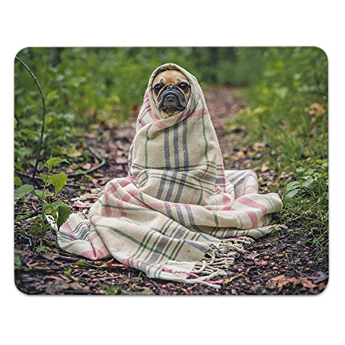 Addies Mousepad HUNDE MOPS, schönes Mauspad Motiv in feiner Cellophan Geschenk-Verpackung mit Kautschuk Untermaterial, 240x190mm Haustiere von addies