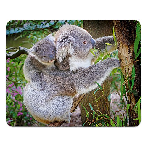 Addies Mousepad KOALA Variante-01, schönes Mauspad Motiv in feiner Cellophan Geschenk-Verpackung mit Kautschuk Untermaterial, 240x190mm Tier-Motiv von ADDIES