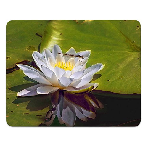 Addies Mousepad Lotusblume „Sommertraum“, schönes Mauspad Motiv in feiner Cellophan Geschenk-Verpackung mit Kautschuk Untermaterial, 240x190mm von ADDIES