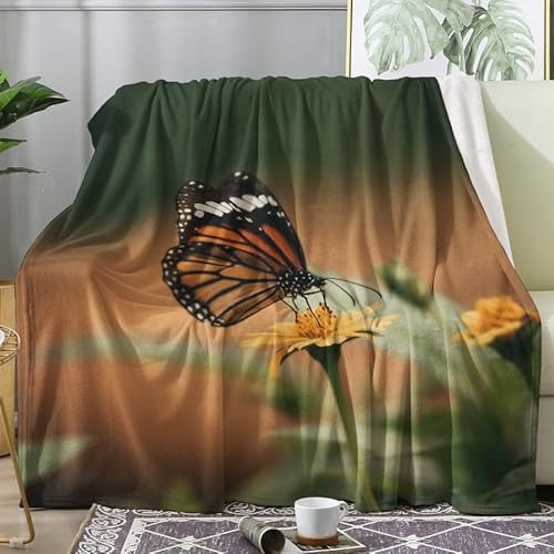 Flauschige Decke Schmetterling Blanket, Wohndecke Kuscheldecken 180x200 cm, Kuscheldecke Blumen Decken Weich und Warm Flanell Fleecedecke Wolldecke für Couch Sofa Wohnzimmer von ADEIRO
