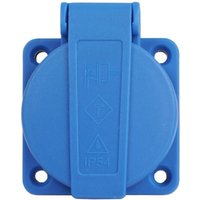 Schuko Einbausteckdose Anbausteckdose 1-Fach 16A 230V IP54 Blau Schraubanschluss Schuko Einbausteckdose Anbausteckdose 1-Fach 16A 230V IP54 Blau Schraubanschluss von ADELID
