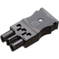 Adels-Contact 17798 Netz-Steckverbinder ac Buchse, gerade Gesamtpolzahl: 2 + pe 16 a Schwarz 1 St. Adels-Contact 17798 Netz-Steckverbinder ac Buchse, gerade Gesamtpolzahl: 2 + pe 16 a Schwarz 1 St. von ADELS CONTACT