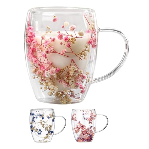 ADERN Doppelwandige Kaffeetasse | Doppelwandige isolierte Glasbecher mit getrockneten Blumen und Griff | 350ml Blumenbecher | Hitzebeständige Teetassen | Anti-Verbrühungs-Teetassen aus Glas von ADERN