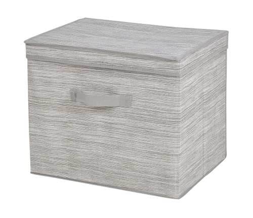 ADGO Miami Faltbox, Box mit Griff, Garderobenbox, Stoffbox, Softbox, Aufbewahrungsbox und Organisationsbox, Kleiderbox, Kleiderschrankbox, Material Vliesstoff, Beige (40x25x30 cm, Mit Deckel) von ADGO