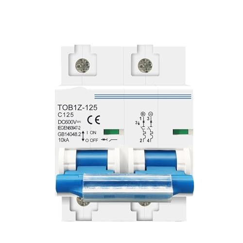 2P DC MCB 600V 125A 100A 80A Circuit Breaker for PV C Kurve Batterie Hauptschalter 1Pcs(100A) von ADGVECNF