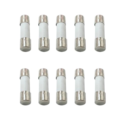 10pcs/lot 5 * 20mm Fast Blow Tube Fuses Quick Blow Ceramic Tube Fuse 250V 5A10A 20AAMP Fuse Ceramic Fusible(5A) von ADLTXZNNR
