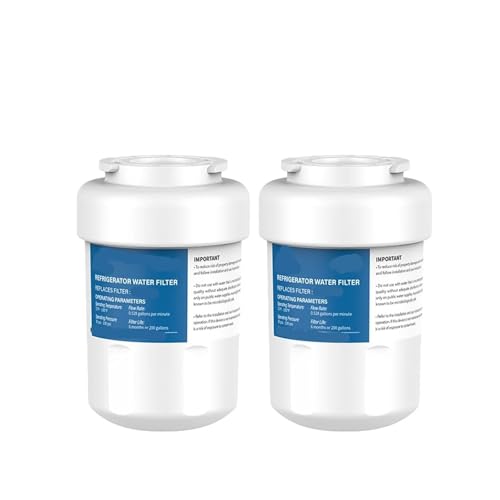 Kompatibel mit GE MWF-Filterersatz, kompatibel mit GE, Kühlschrank-Wasserfilter, kompatibel mit MWFP GWF GWFA MWFA SmartWater-Filter, kompatibel mit FMG-1 Kenmore 46-9991(2pcs) von ADMPSXIC