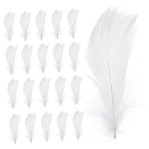ADOCARN 100stücke Federn Für Hochzeits Und Partydesigns Bunte Fluffige Plumes Für Handwerksprojekte Und Für Kindergarten Bastelarbeiten Und Festliche Dekorationen von ADOCARN