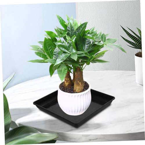 ADOCARN 4 Stück Pflanzuntersetzer Quadratisch Robustem Kunststoff wasserdichte Pflanzenschalen für Draußen Stabiler Wasserauffangbehälter für Blumentöpfe und Gartenpflanzen ADOCARN 4 Stück Pflanzuntersetzer Quadratisch Robustem Kunststoff wasserdichte Pflanzenschalen für Draußen Stabiler Wasserauffangbehälter für Blumentöpfe und Gartenpflanzen von ADOCARN