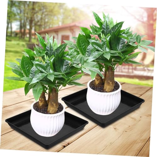 ADOCARN 4 Stück Teiliges Rechteckige Pflanzuntersetzer Stabilem PP Kunststoff Robust und Uv Beständig für Innen und Außenbereiche Passend für Blumentöpfe und Gartenpflanzen ADOCARN 4 Stück Teiliges Rechteckige Pflanzuntersetzer Stabilem PP Kunststoff Robust und Uv Beständig für Innen und Außenbereiche Passend für Blumentöpfe und Gartenpflanzen von ADOCARN