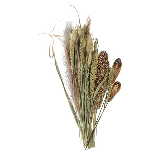 ADOCARN Dried DIY Blumenstrauß Natürliche Trockenblumen für Boho Raumdekoration Handgemachte Glasvase für Wohnzimmer Schlafzimmer und Badezimmer für Hochzeiten und Rustikale Feiern ADOCARN Dried DIY Blumenstrauß Natürliche Trockenblumen für Boho Raumdekoration Handgemachte Glasvase für Wohnzimmer Schlafzimmer und Badezimmer für Hochzeiten und Rustikale Feiern von ADOCARN