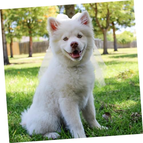 ADOCARN Haustier Schleier mit Schleife Weicher Gauze Brautschleier für Hunde und Katzen Festlicher Haarschmuck für Hochzeiten Geburtstage und Feierlichkeiten Einfach Anzulegen Design ADOCARN Haustier Schleier mit Schleife Weicher Gauze Brautschleier für Hunde und Katzen Festlicher Haarschmuck für Hochzeiten Geburtstage und Feierlichkeiten Einfach Anzulegen Design von ADOCARN