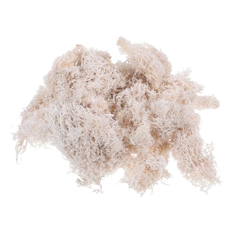 ADOCARN 50g Konserviertes Moos Weiß Für DIY-blumenmaterial Accessoire Und Dekoration Für Hochzeit Party Garten Flexible Und Staubarme Moosqualität Für Terrarien Miniaturszenen Und ADOCARN 50g Konserviertes Moos Weiß Für DIY-blumenmaterial Accessoire Und Dekoration Für Hochzeit Party Garten Flexible Und Staubarme Moosqualität Für Terrarien Miniaturszenen Und von ADOCARN